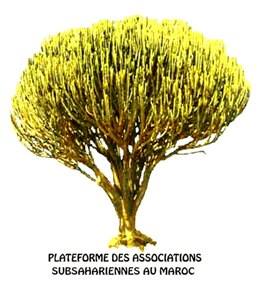 PLATE-FORME